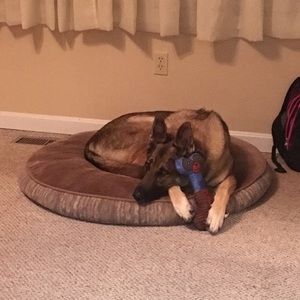 Meet your Posher, Makayla